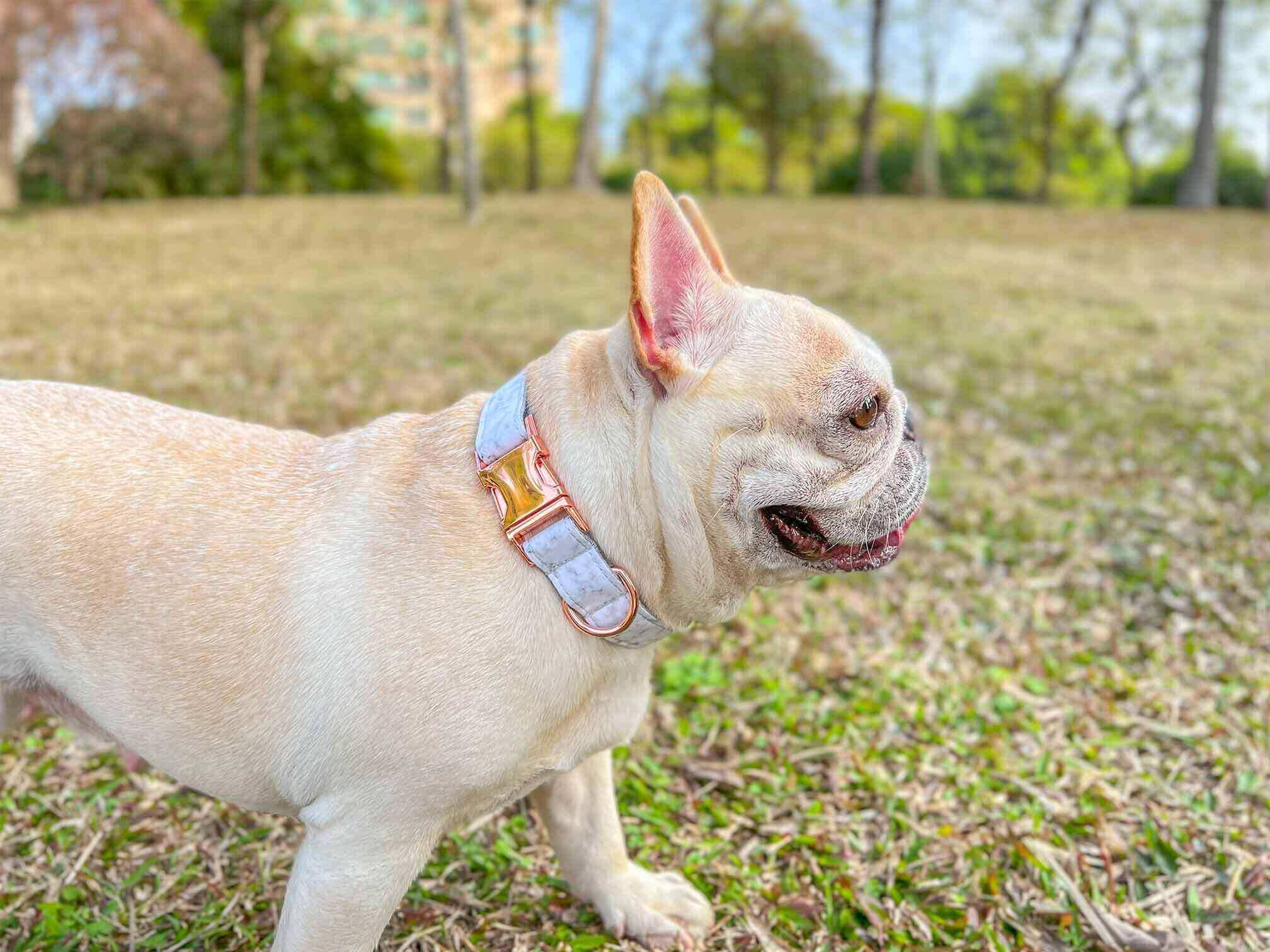 Dog Marble White Collar Leash Set - Frenchiely