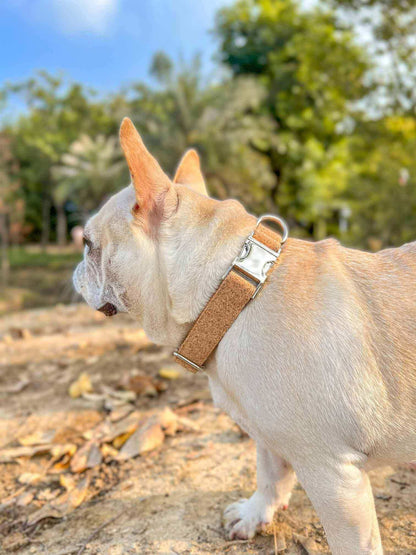 Dog Wooden Print Leash Set - Frenchiely