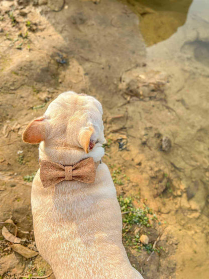 Dog Wooden Print Leash Set - Frenchiely