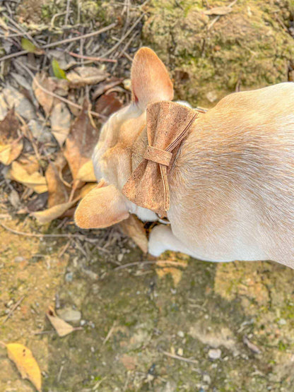 Dog Wooden Print Collar - Frenchiely
