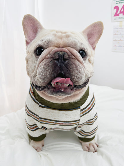 Stripe Sweatshirt