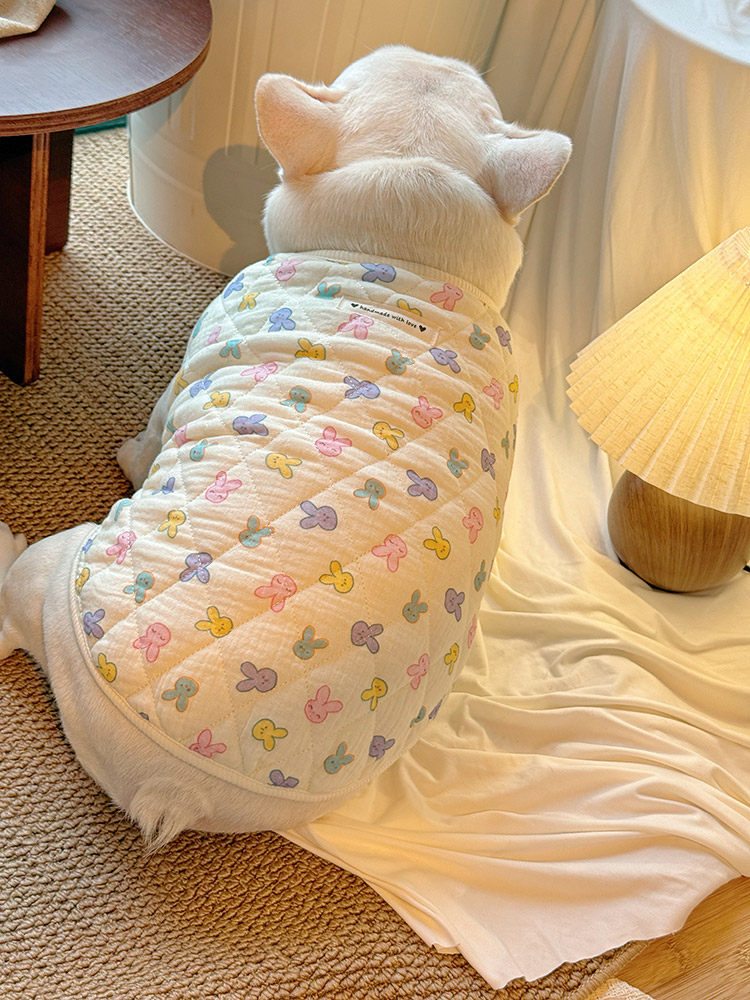 Bunny Vest Jacket Bunny Sweetwinterjacketforfemalemediumdogbreeds_10