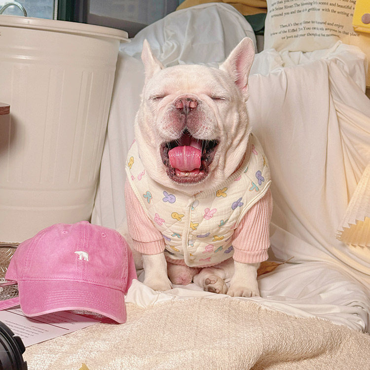 Bunny Vest Jacket Sweetwinterjacketforfemalemediumdogbreeds_14