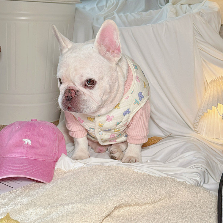 Bunny Vest Jacket Sweetwinterjacketforfemalemediumdogbreeds_9