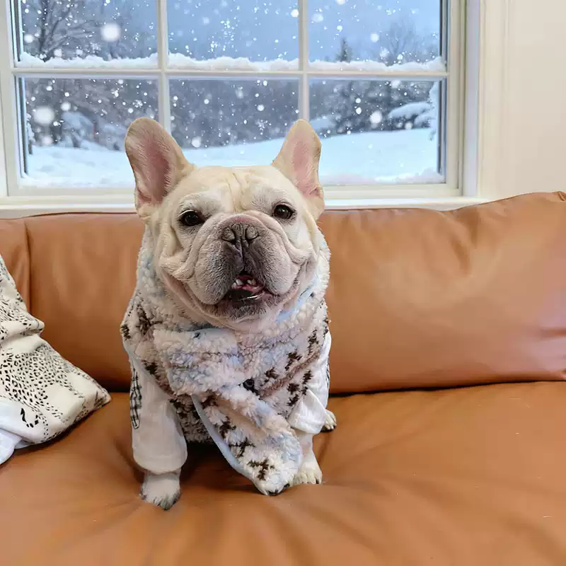 Vintage Sherpa Coat with Scarf