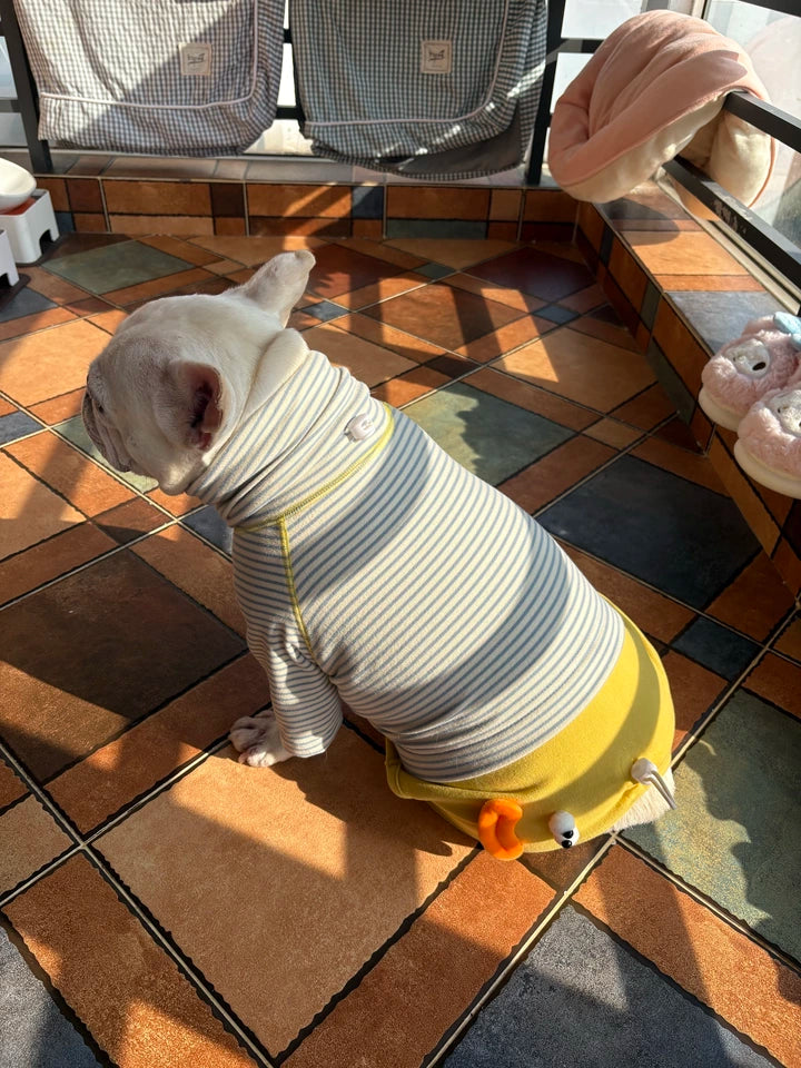 Senior Dog Neck Protection PJs