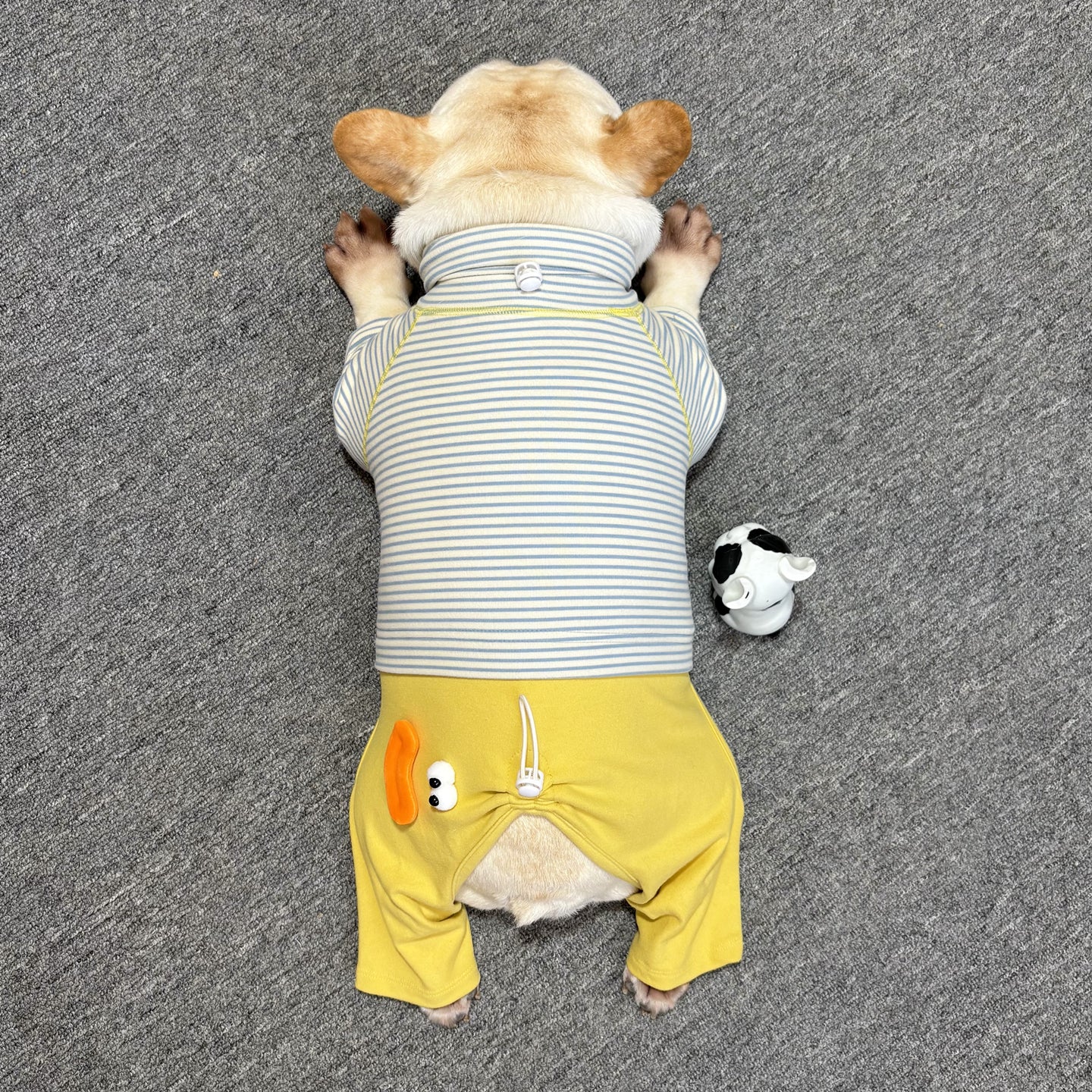 Senior Dog Neck Protection PJs