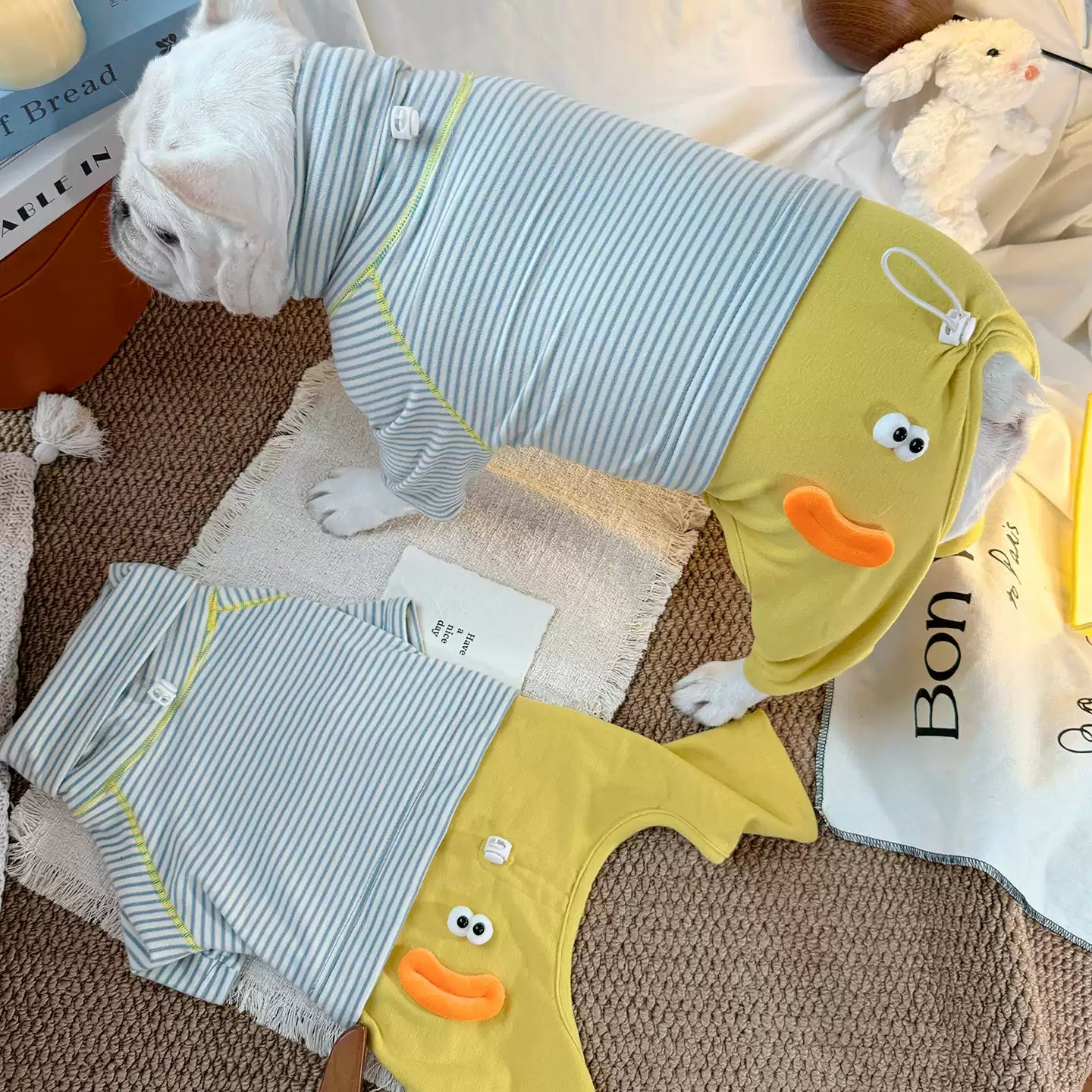 Senior Dog Neck Protection PJs