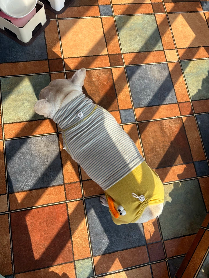 Senior Dog Neck Protection PJs