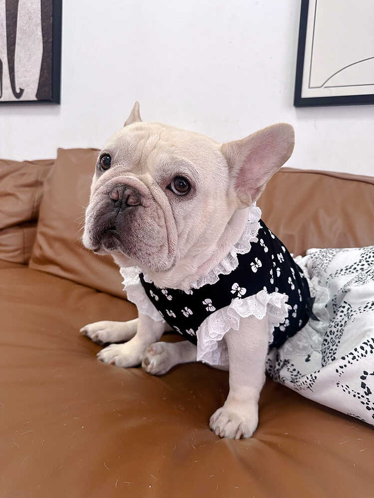 Dog Black and White Bowtie Dress