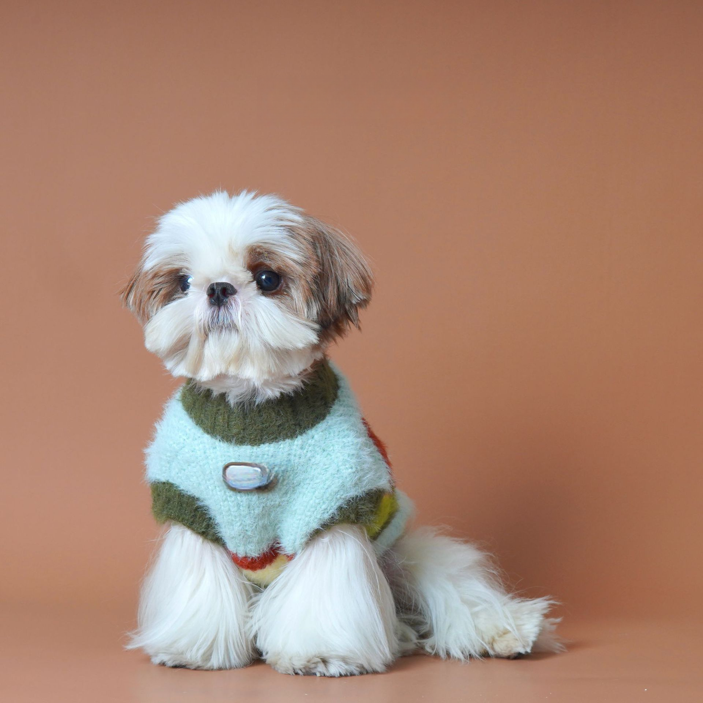 Green Stripe Sweater bluestripedsweaterformediumlargedogs_6