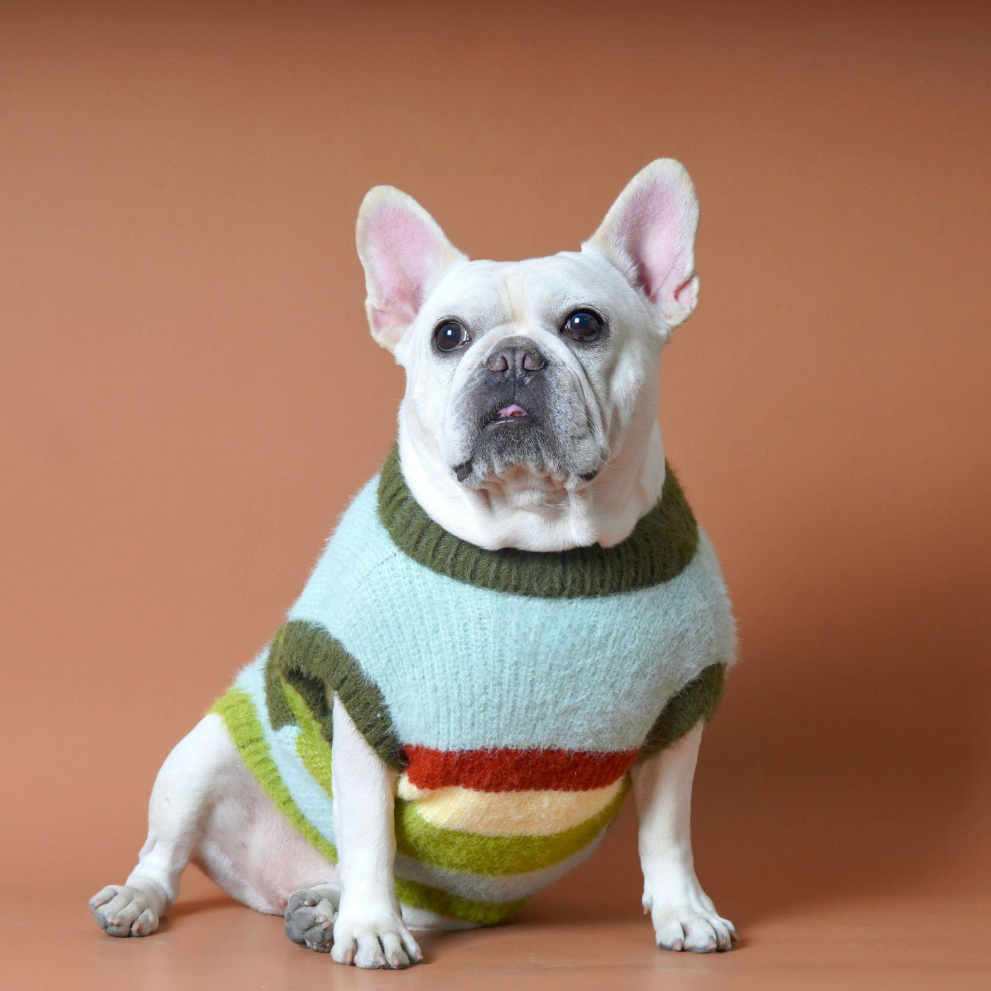 Green Stripe Sweater bluestripedsweaterformediumlargedogs_8