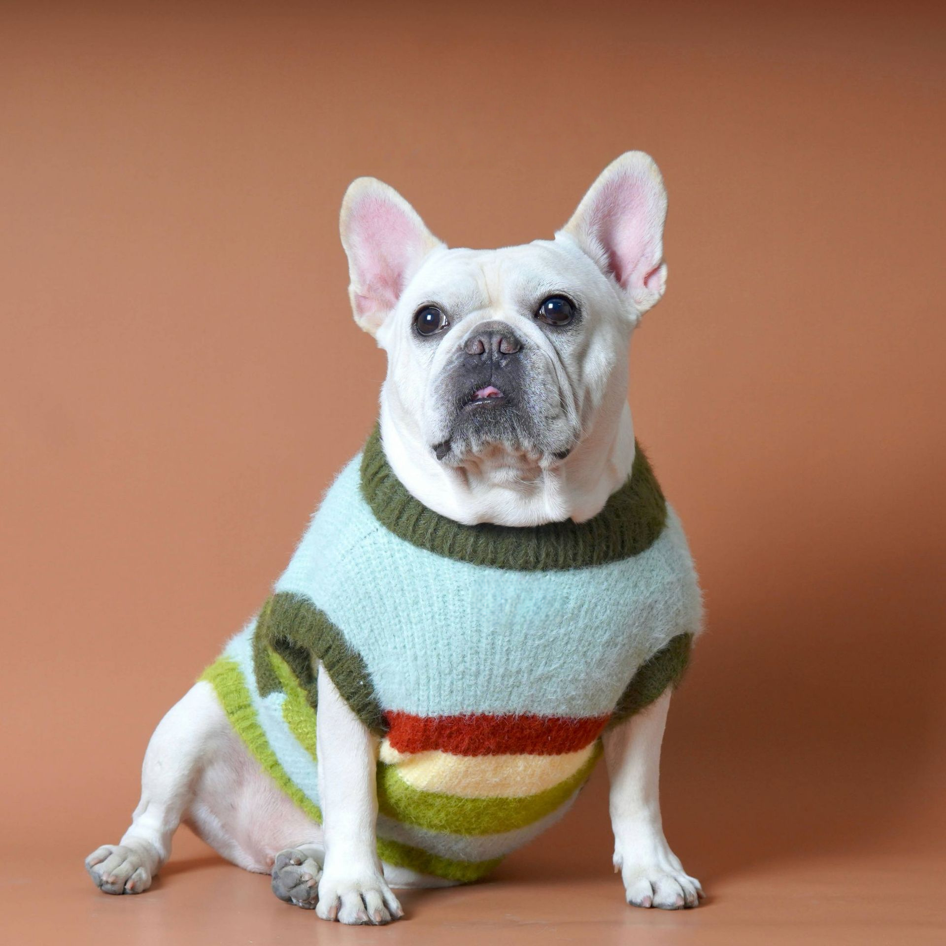 Green Stripe Sweater bluestripedsweaterformediumlargedogs_8