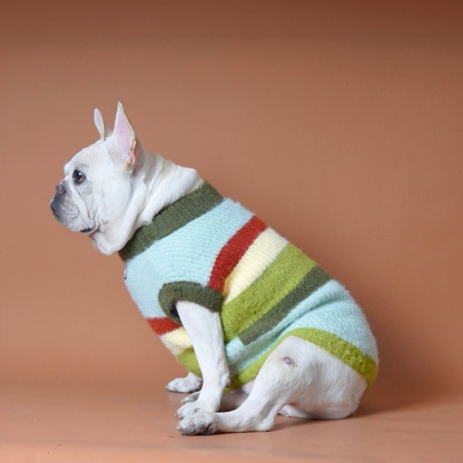 Green Stripe Sweater bluestripedsweaterformediumlargedogs_9