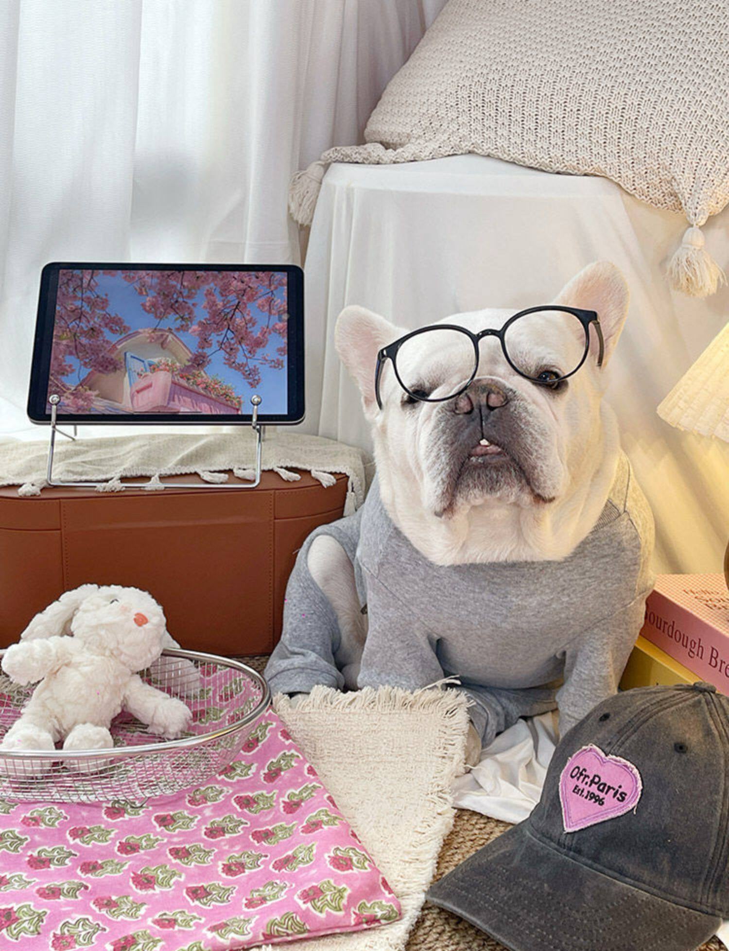 Dog Dachshund Pajamas cutedacshundpatterndogonesiejumpsuitforfrenchbulldogs_2