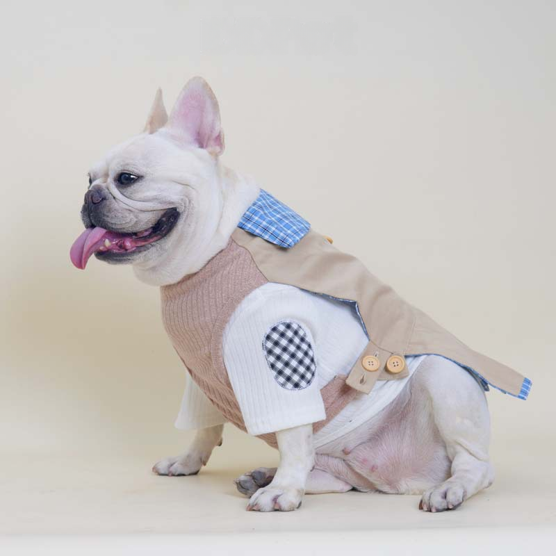 Khaki Pleated Shirt dogKhaiPleatedShirtsweaterforsmallmediumdogsbyFrenchiely_5