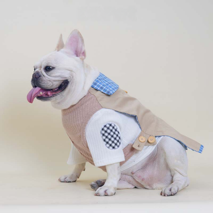 Khaki Pleated Shirt dogKhaiPleatedShirtsweaterforsmallmediumdogsbyFrenchiely_5