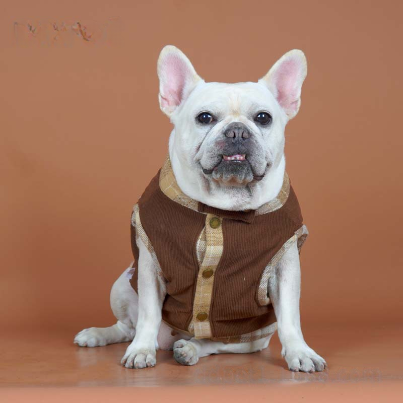 Maillard Vintage Vest Coat with D-ring dogMaillardVintageVestCoatwithD-ringformediumdogs_5
