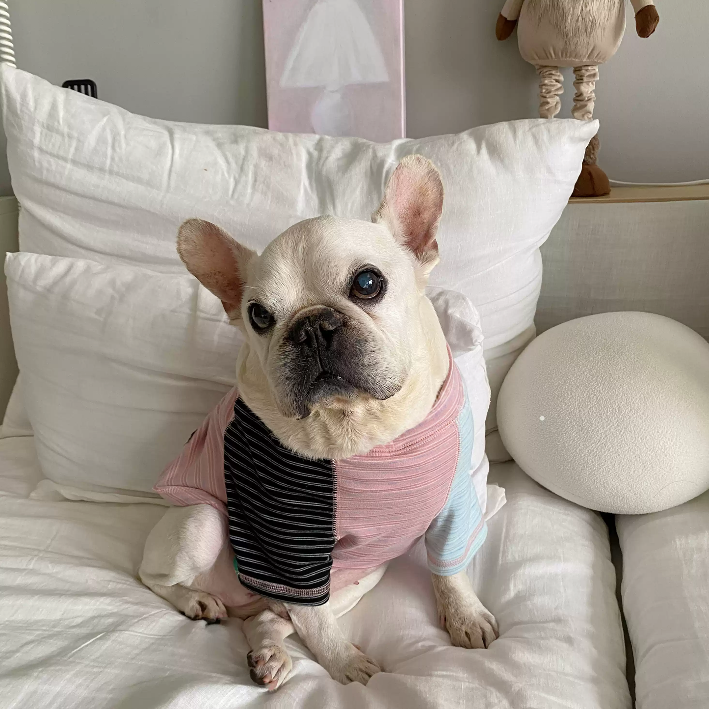 Pink Stripe Shirt dogPinkStripeShirtformediumdogs_1