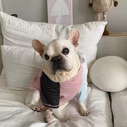 Pink Stripe Shirt dogPinkStripeShirtformediumdogs_1