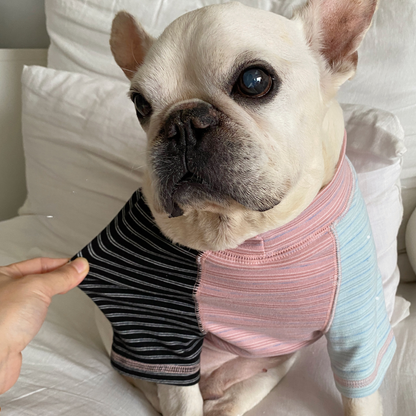 Pink Stripe Shirt dogPinkStripeShirtformediumdogs_10