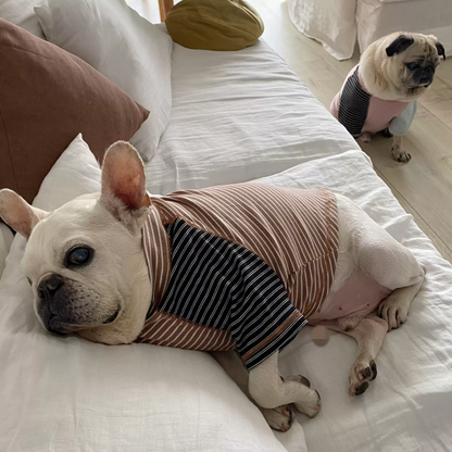 Pink Stripe Shirt dogPinkStripeShirtformediumdogs_11