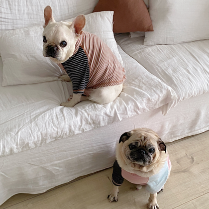 Pink Stripe Shirt dogPinkStripeShirtformediumdogs_2