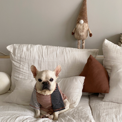 Pink Stripe Shirt dogPinkStripeShirtformediumdogs_3