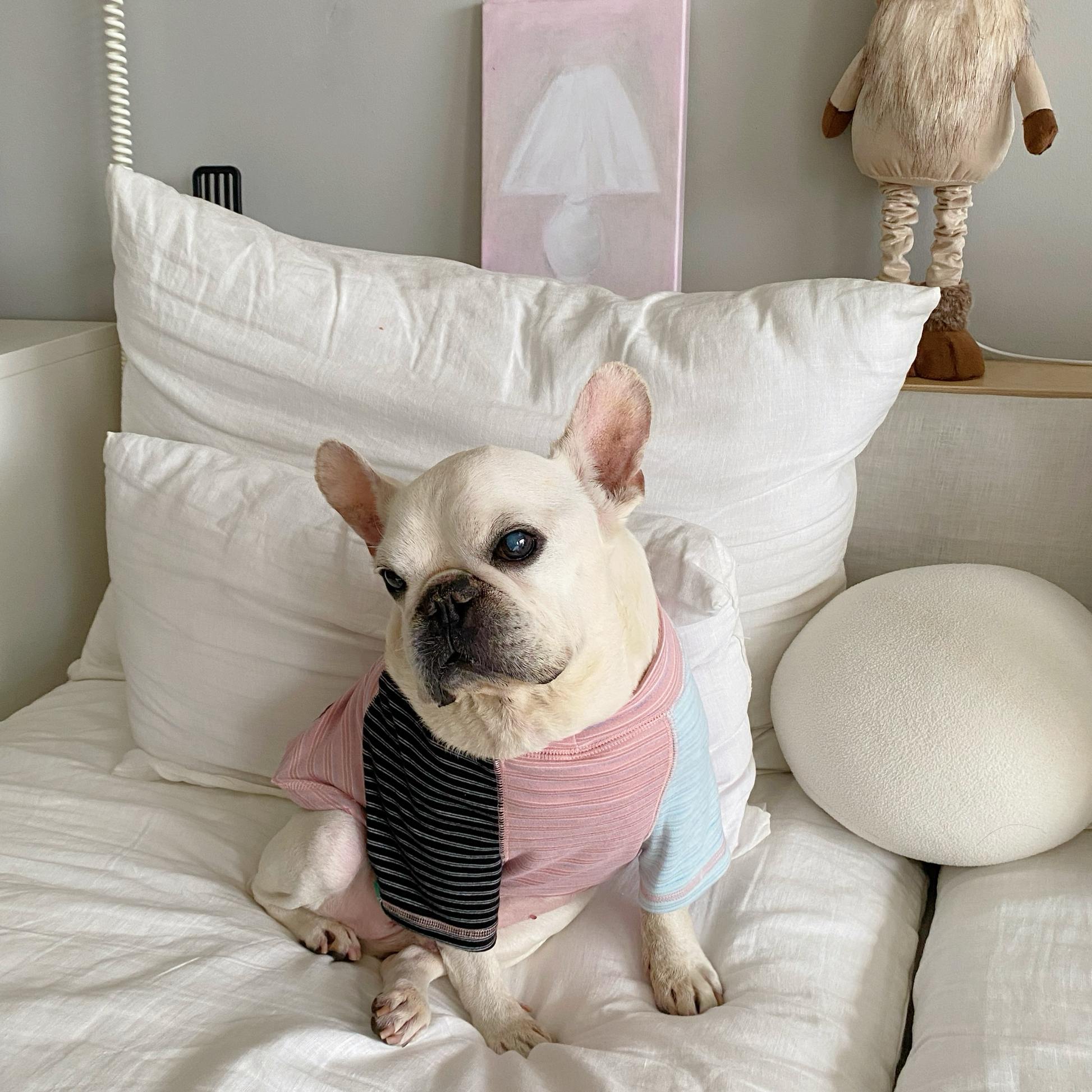 Pink Stripe Shirt dogPinkStripeShirtformediumdogs_4