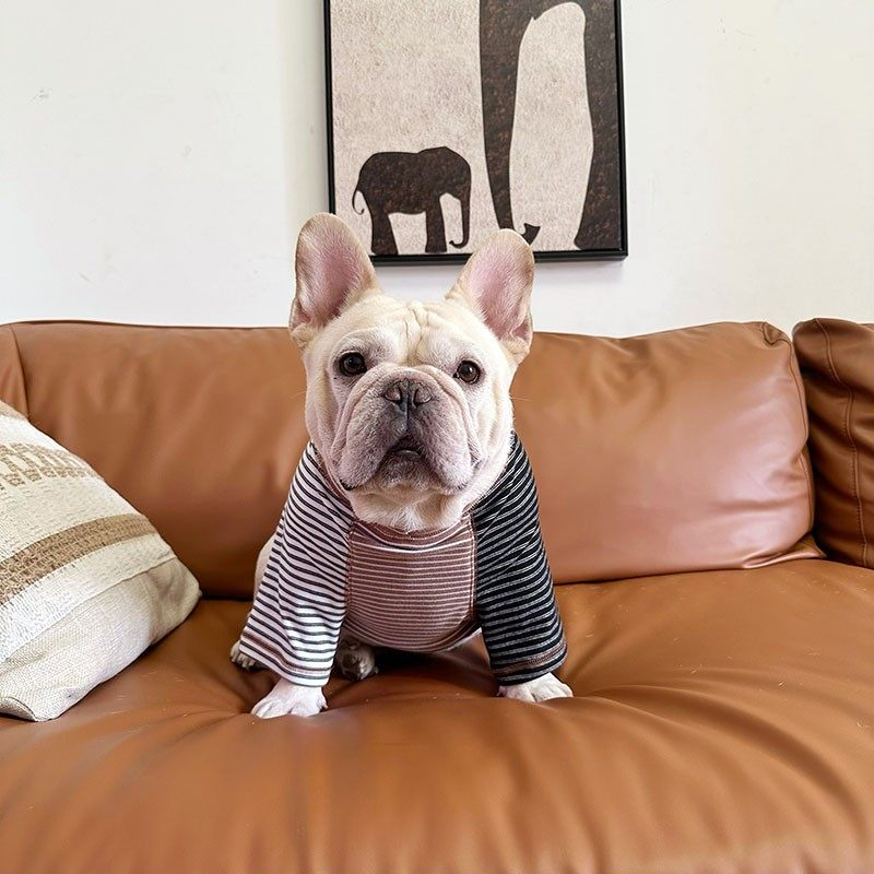 Pink Stripe Shirt dogPinkStripeShirtformediumdogs_6