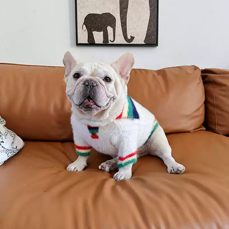 Rainbow Sweater dogRainbowSweaterformediumdogbreeds_b844ec84-8623-4162-8161-a867181c0f14