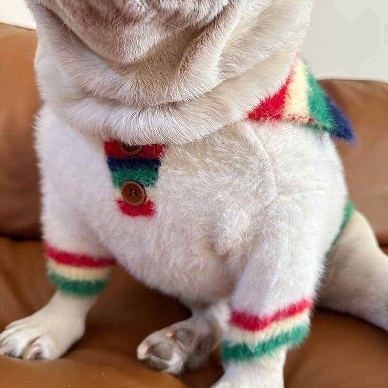 Rainbow Sweater dogRainbowSweaterforsmallmediumdogbreeds_2