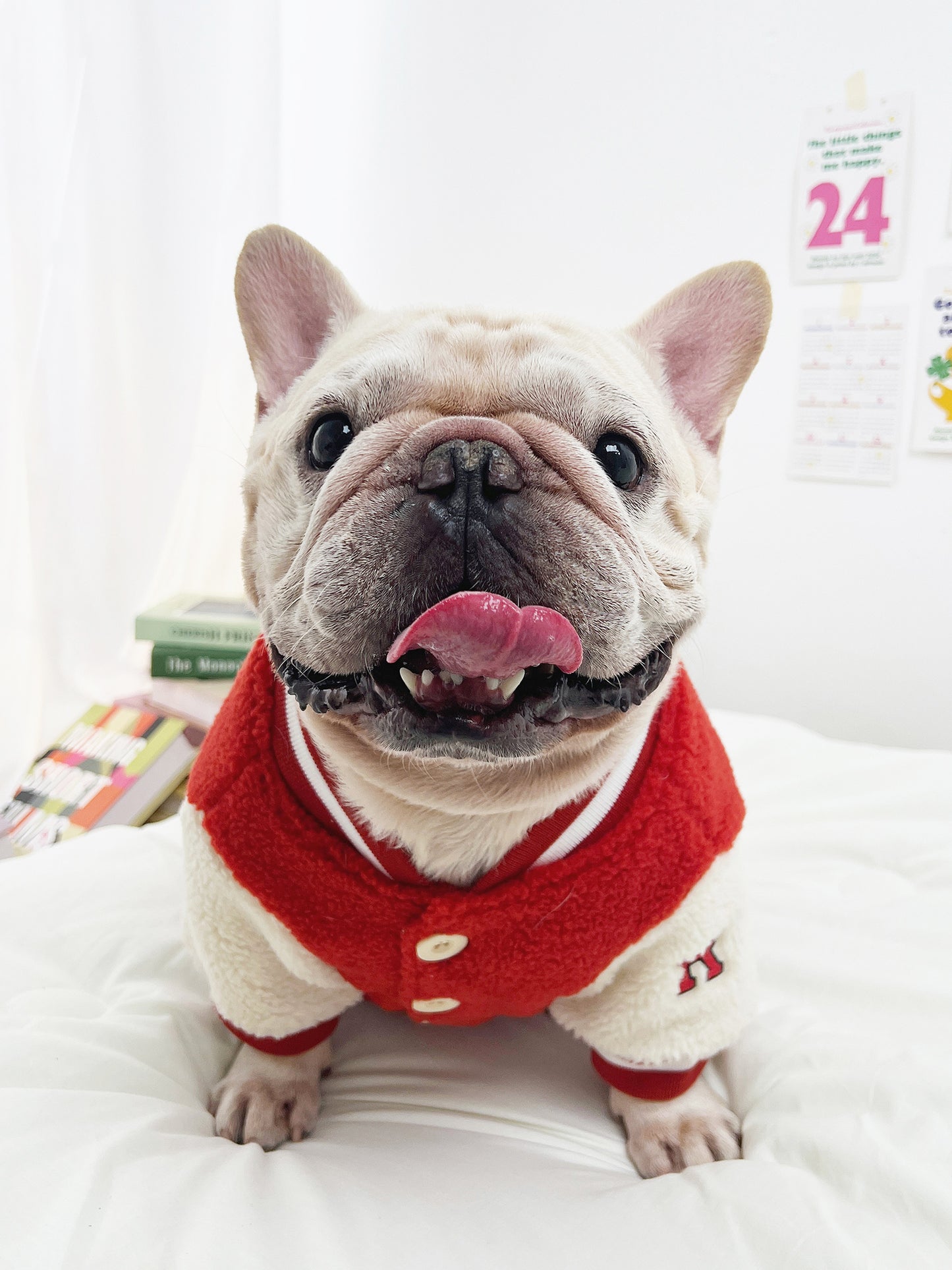 Red Sporty Warm Jacket dogRedSportyWarmJacketcoatformediumdogsbyFrenchiely_1