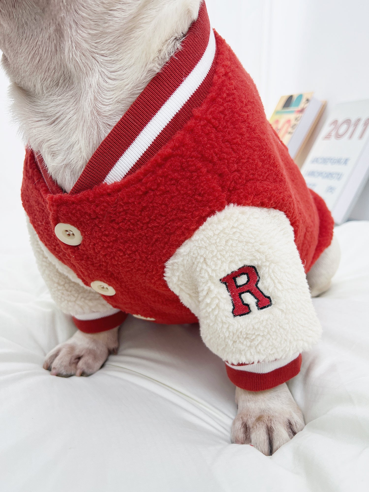 Red Sporty Warm Jacket dogRedSportyWarmJacketcoatformediumdogsbyFrenchiely_2