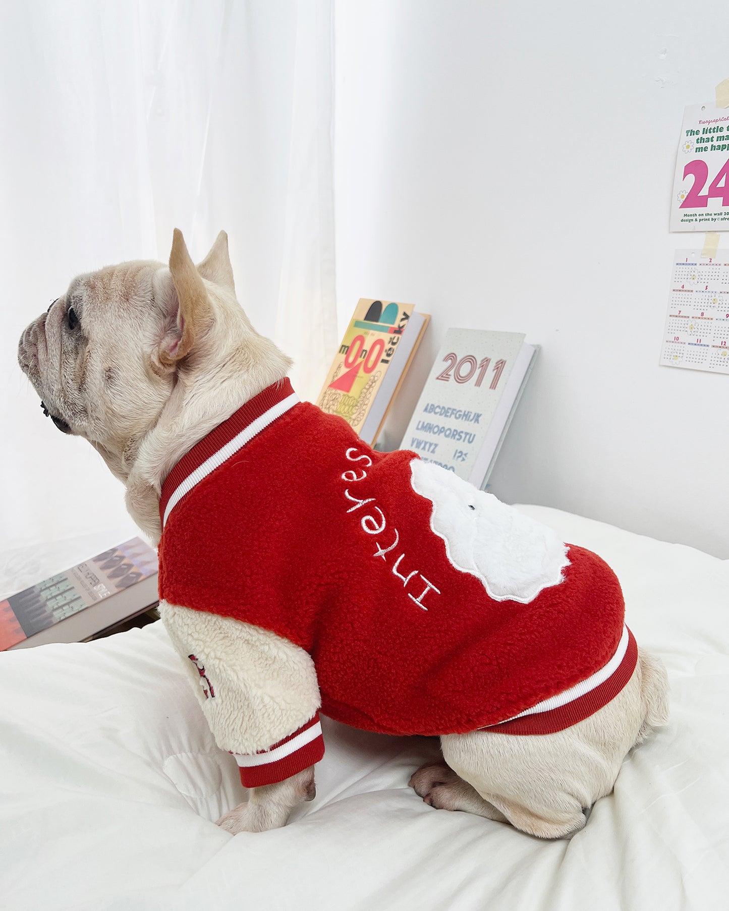 Red Sporty Warm Jacket dogRedSportyWarmJacketcoatformediumdogsbyFrenchiely_3