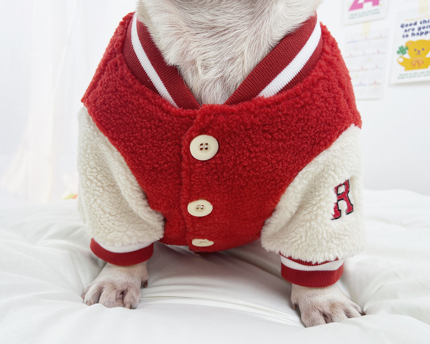 Red Sporty Warm Jacket dogRedSportyWarmJacketcoatformediumdogsbyFrenchiely_5