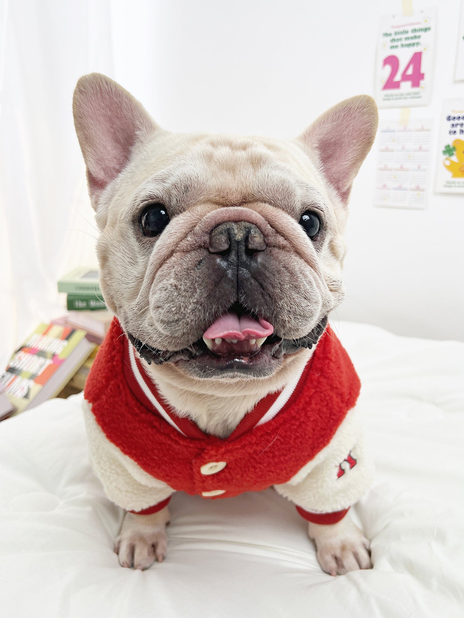 Red Sporty Warm Jacket dogRedSportyWarmJacketcoatformediumdogsbyFrenchiely_6