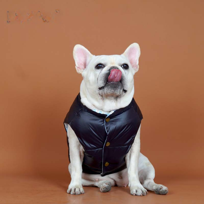Reversible Inside-Out Down Vest dogReversibleInside-outDownVestformediumdogsbyFrenchiely_5
