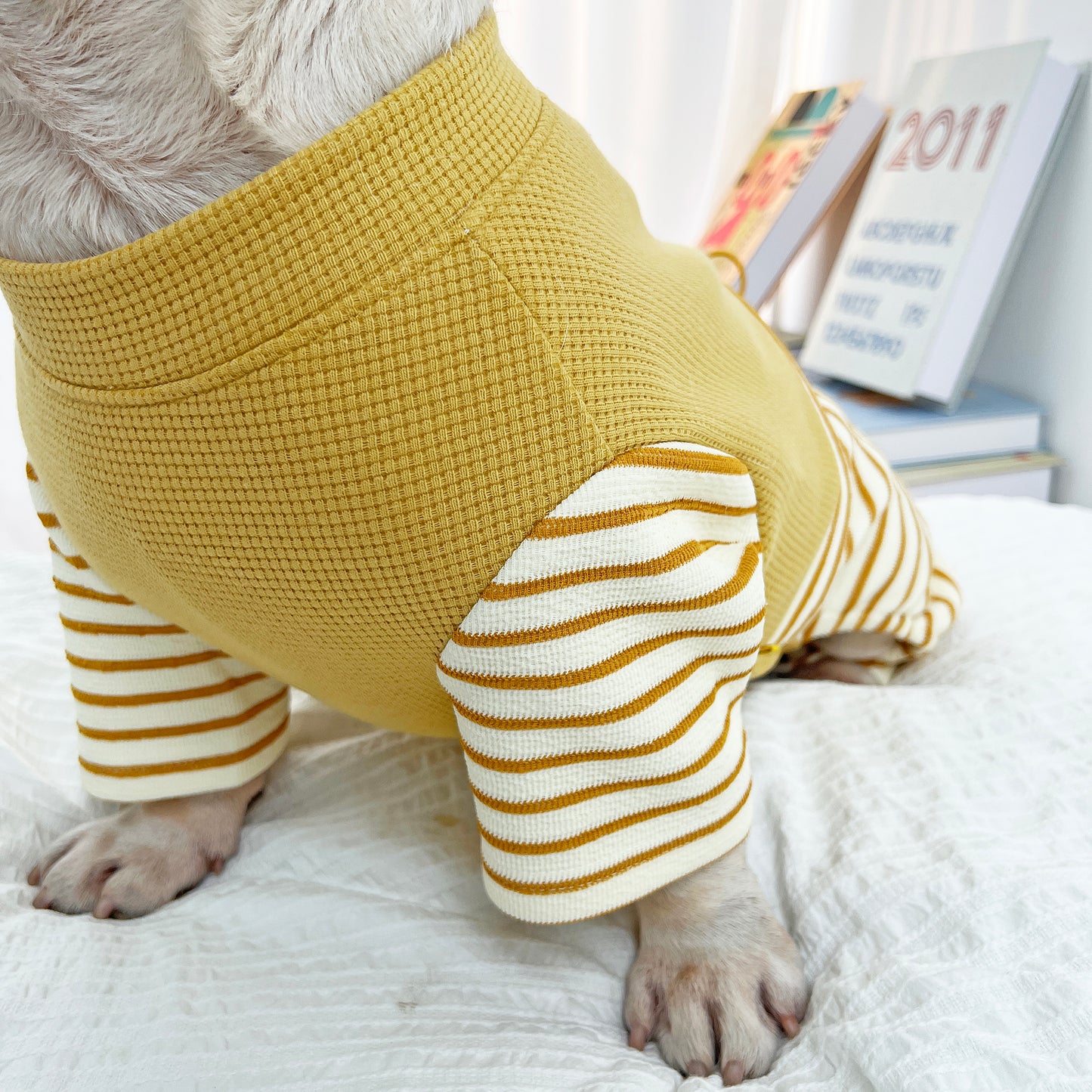 Stripe Onesie PJs dogStripeOnesiePJsformediumdogbreedsbyFrenchiely_3