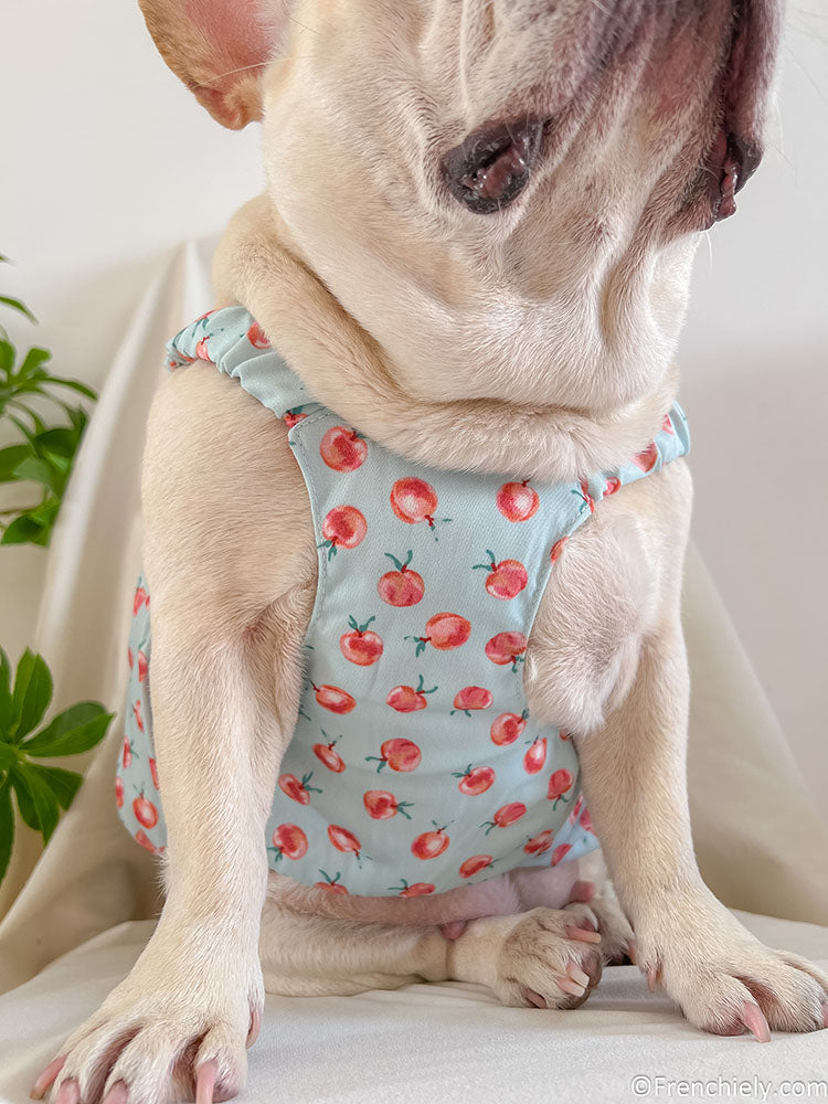 dog summer cute dress for french bulldogs by Frenchiely