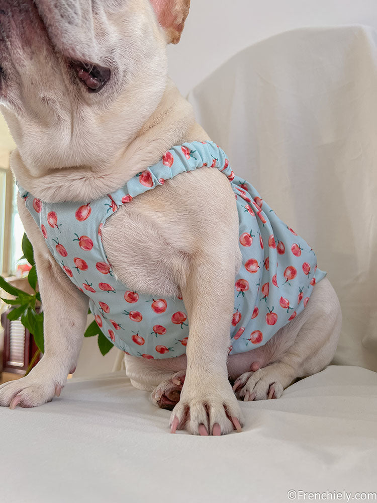 dog summer cute dress for french bulldogs by Frenchiely