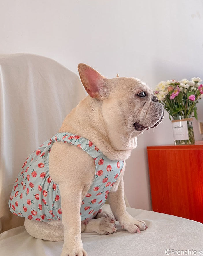 dog summer cute dress for french bulldogs by Frenchiely