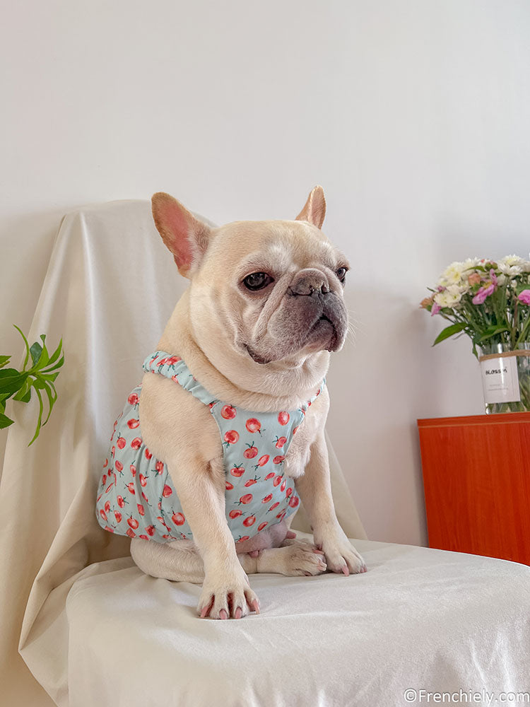 dog summer cute dress for french bulldogs by Frenchiely