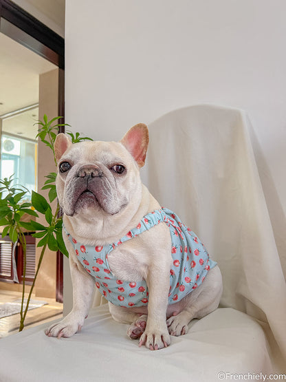 dog summer cute dress for french bulldogs by Frenchiely