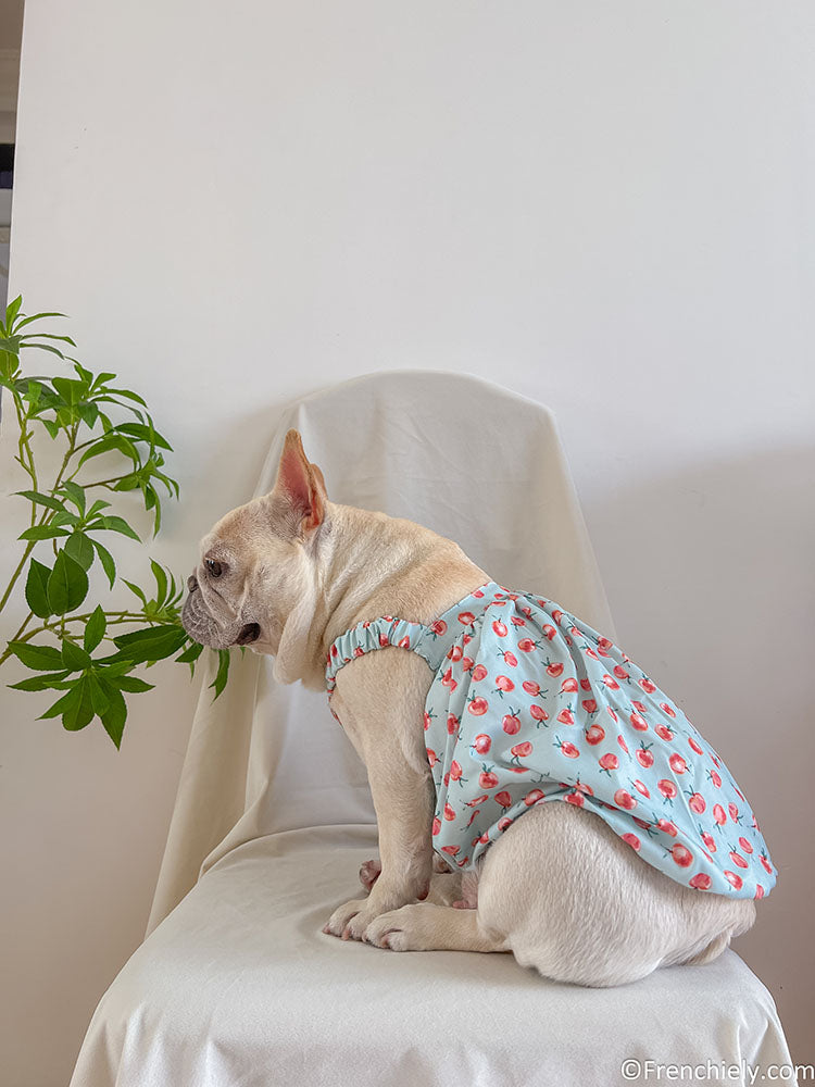 dog summer cute dress for french bulldogs by Frenchiely