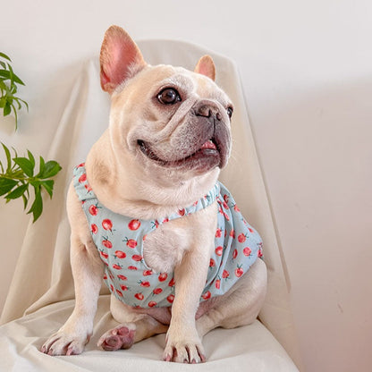 dog summer cute dress for french bulldogs by Frenchiely