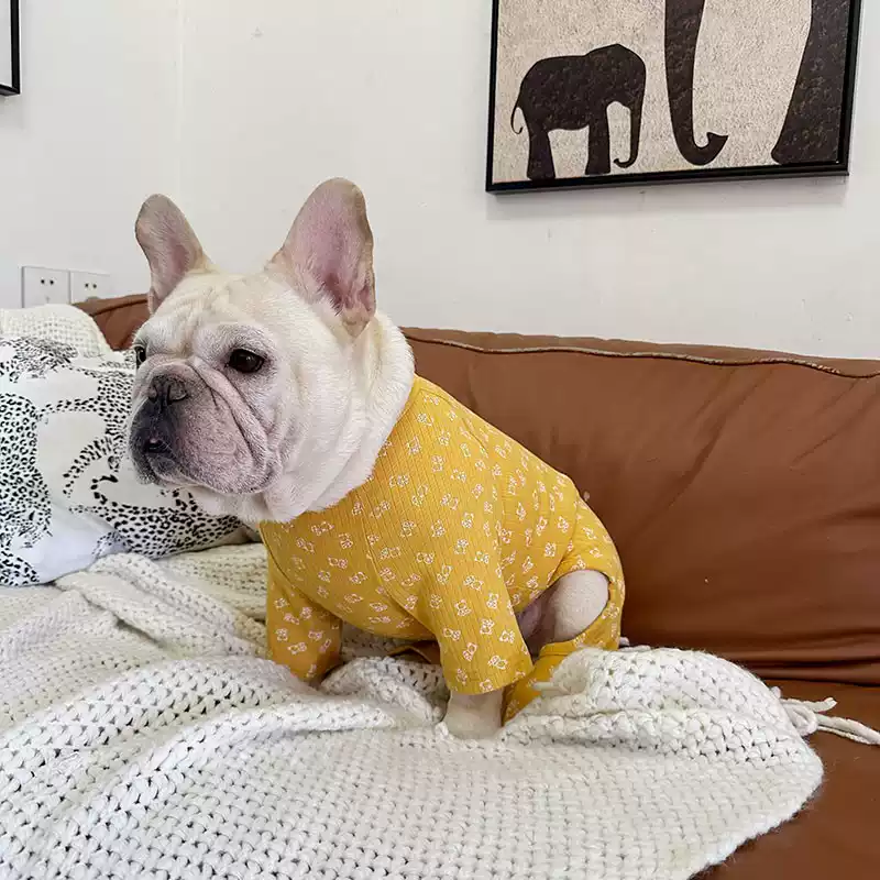 Bear Pajamas dogbearonesiepajamasforsmallandmediumdogbreeds022_1