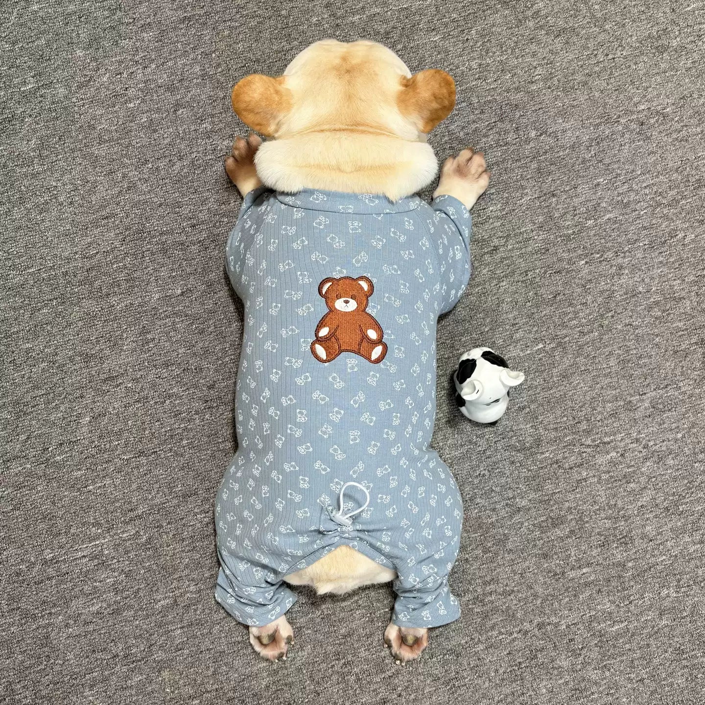 Blue Bear Pajamas dogbearonesiepajamasforsmallandmediumdogbreeds022_1