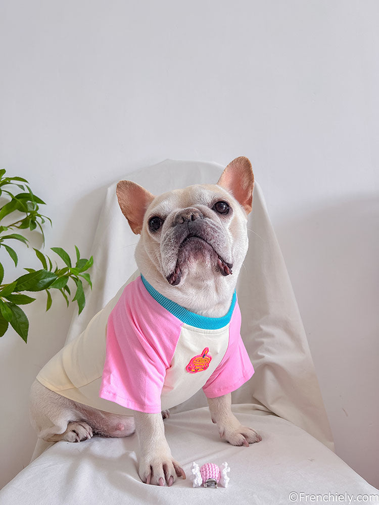 dog pink birthday shirt with candy pin and brirthday cake print