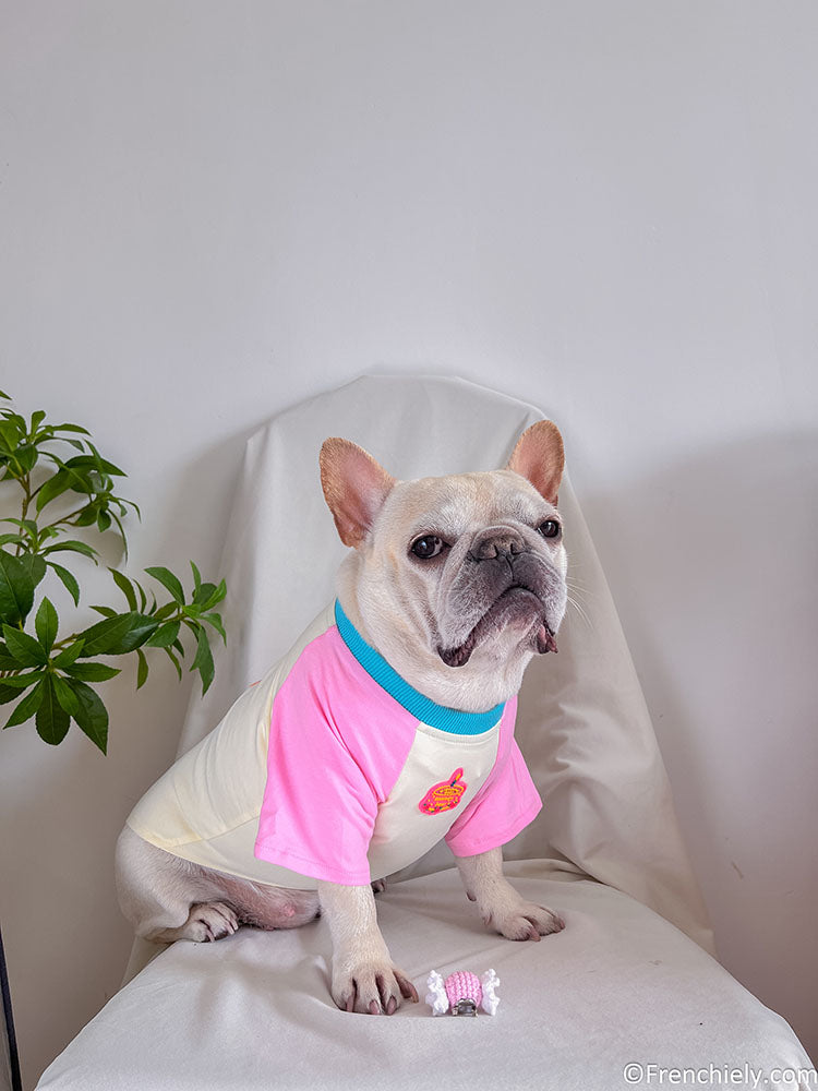 dog pink birthday shirt with candy pin and brirthday cake print